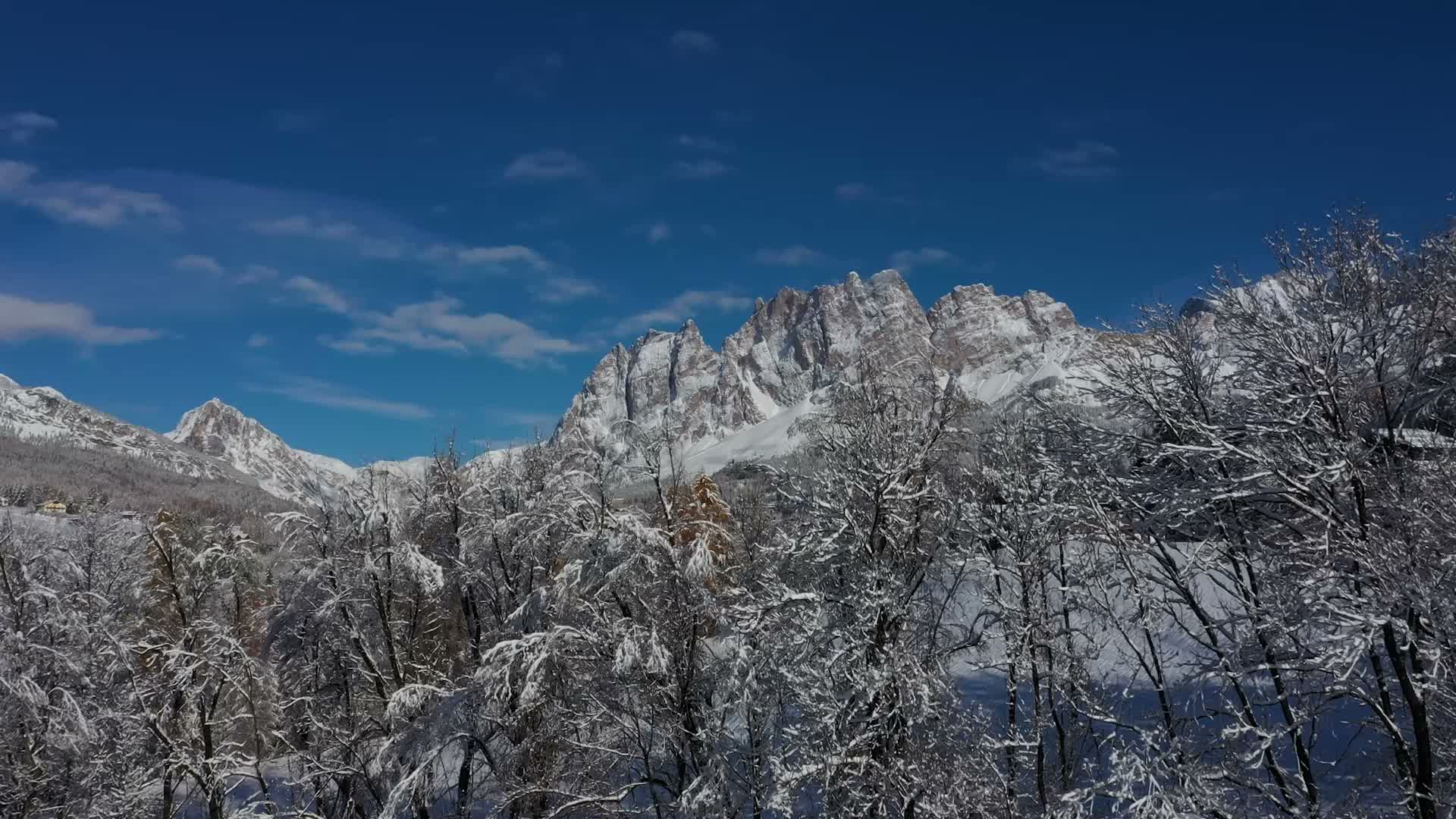 Agenzia Immobiliare AZ